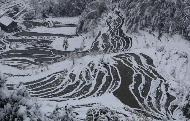 梯田 雪后 雪景