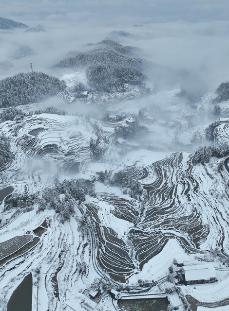 梯田 雪后 雪景