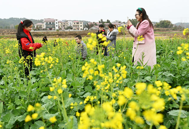 乡村游 旅游市场 农村 游客 农耕文化 自然环境 花 农旅融合