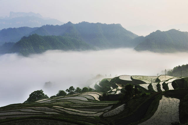 仙境 梯田 天门山 堡子界