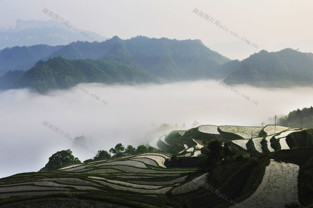 仙境 梯田 天门山 堡子界