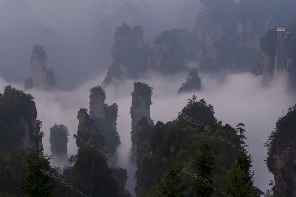 世界自然遗产 张家界 武陵源 天子山 峰林仙境