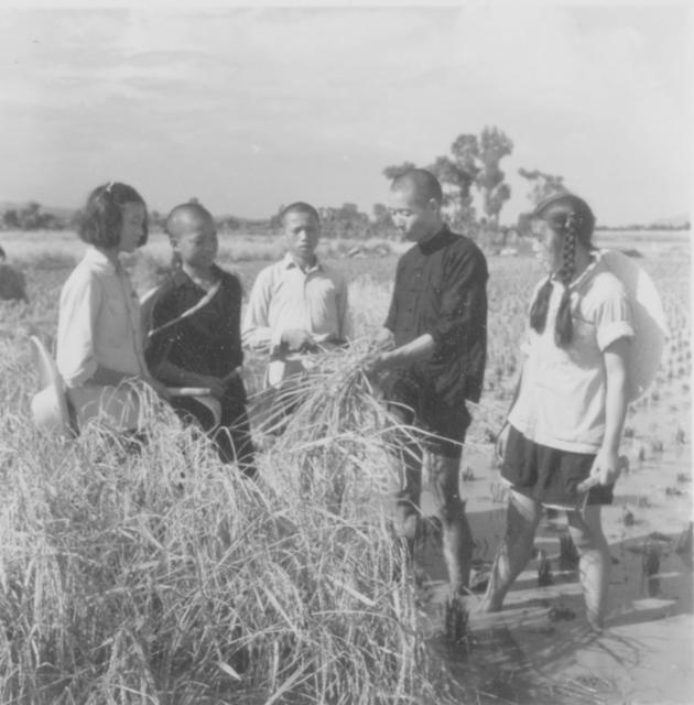 小学毕业 教育