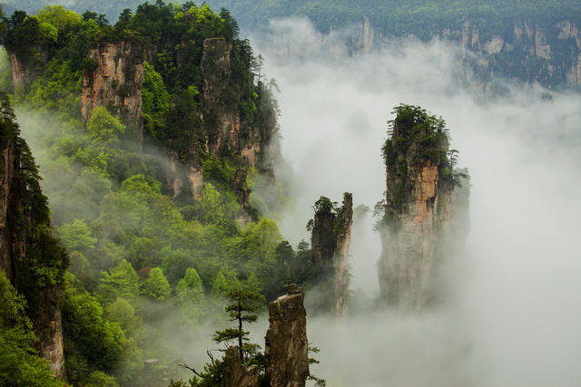 世界自然遗产 张家界 武陵源 天子山 峰林 云海