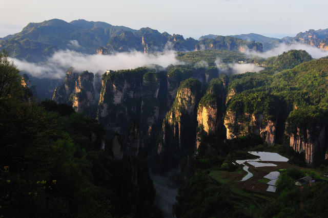 世纪自然遗产 张家界 武陵源 天子山 空中田园