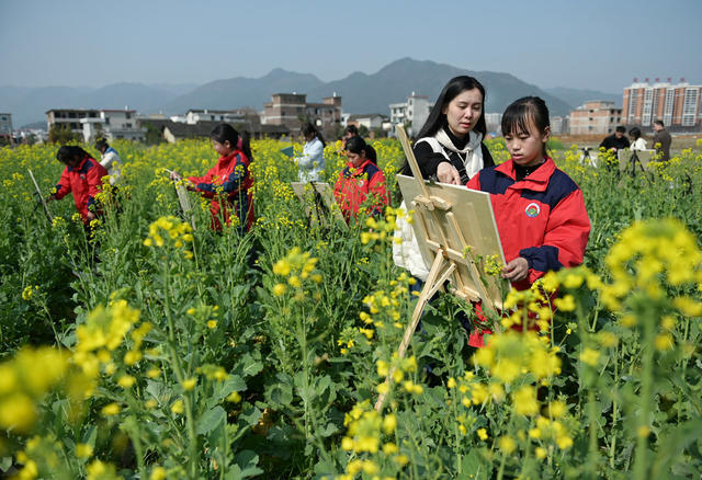 户外写生  学生 绘画 油菜 乡村 教育 美术 大自然 春景 春天