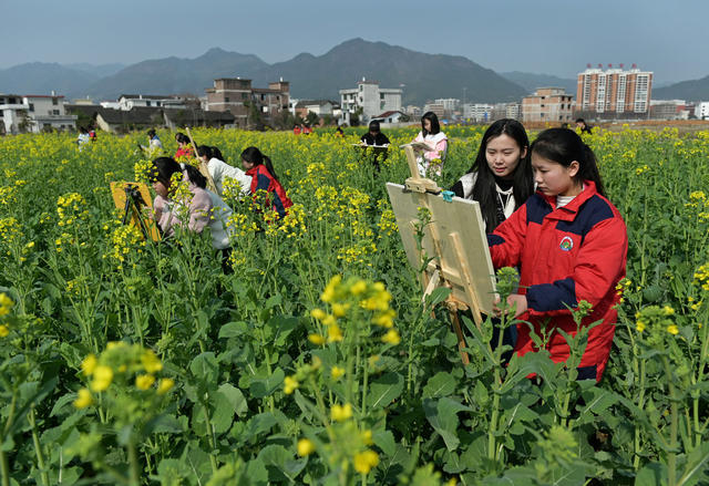 户外写生  学生 绘画 油菜 乡村 教育 美术 大自然 春景 春天