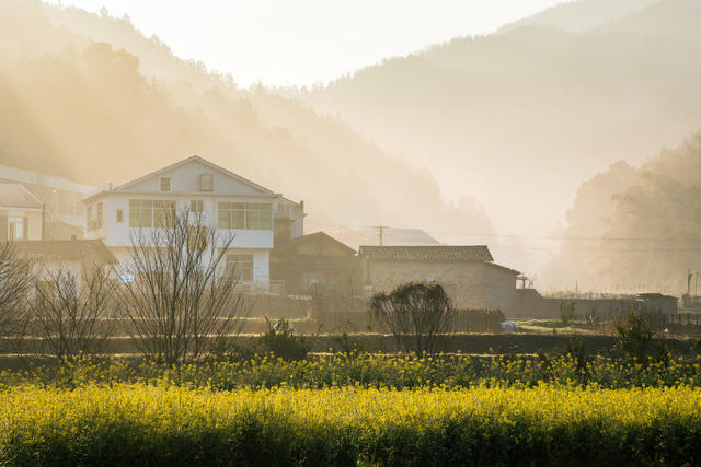 乡村  春天  早晨  阳光  蕉溪岭  