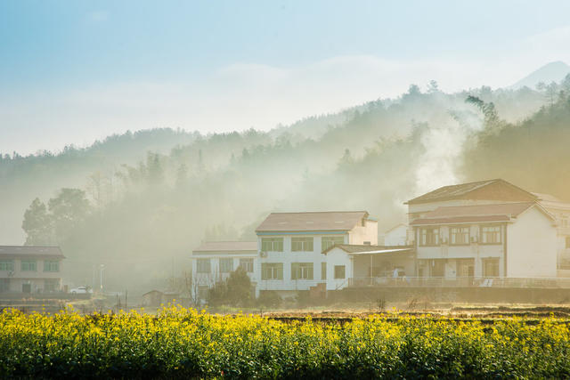 乡村  春天  早晨  阳光  蕉溪岭  