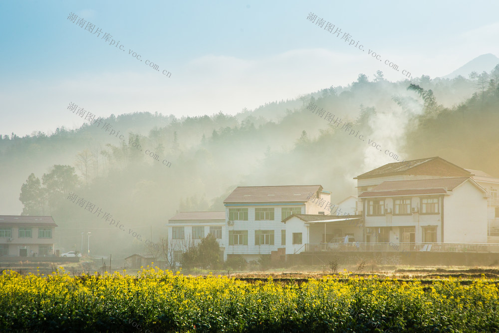 乡村  春天  早晨  阳光  蕉溪岭  