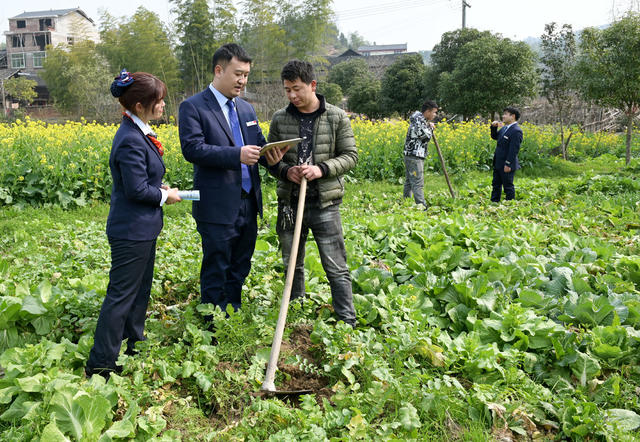 金融 春耕备耕 信贷 金融助春耕 农村 银行 农民 农业生产 