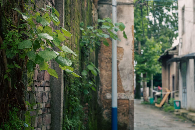 湘江边的古镇      古镇