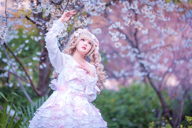二次元人像  樱花  芭比娃娃