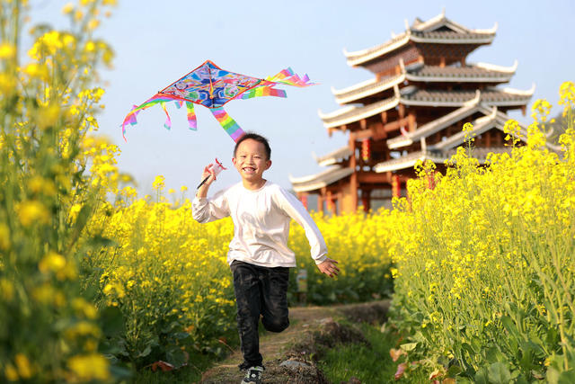 踏青赏花 风筝嬉耍 融融春意 放飞心情