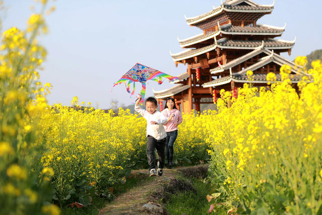 踏青赏花 风筝嬉耍 融融春意 放飞心情