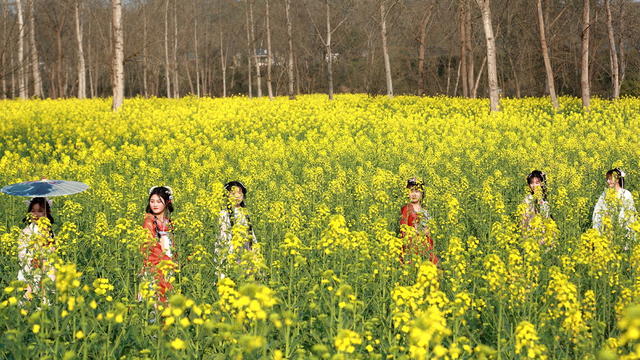 古村    乡村旅游