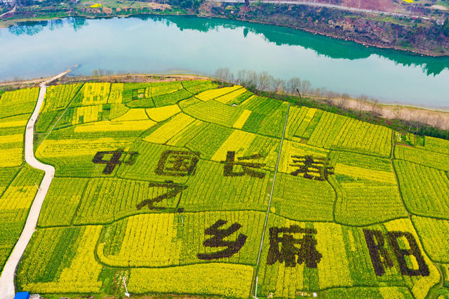 农村  美丽乡村  油菜花 
春天   怀化