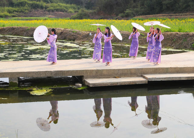 油菜花  旅游   风景