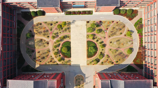 校园  春日  生机勃勃