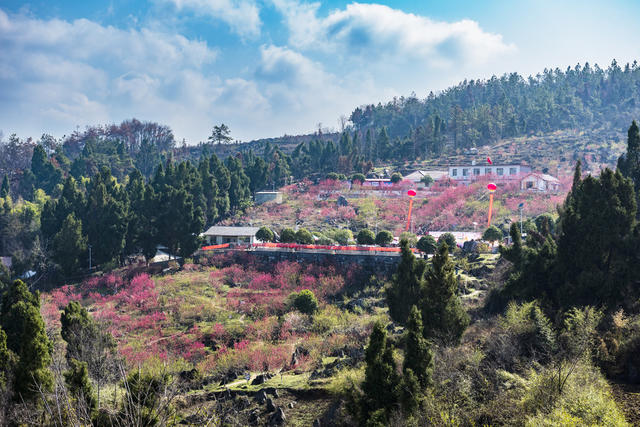 春天 桃花 旅游 妇女 欢乐 