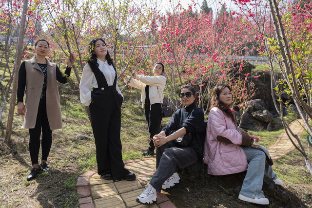 春天 桃花 旅游 妇女 欢乐 