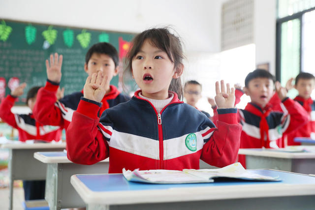 数字课堂   网络联校  信息教育