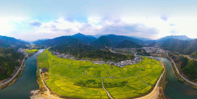 农村  农田  油菜花  艺术农田