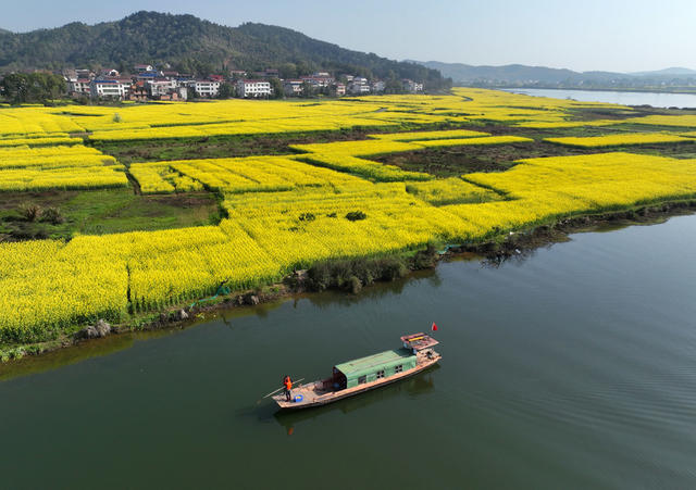 巡河 净水 护生态