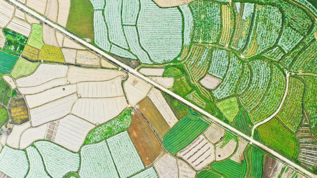 田园  七彩  美丽  景色
