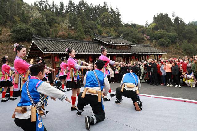 侗寨 农业 产业 旅游 赏花节 乡村振兴