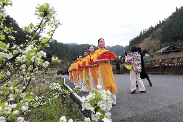 侗寨 农业 产业 旅游 赏花节 乡村振兴