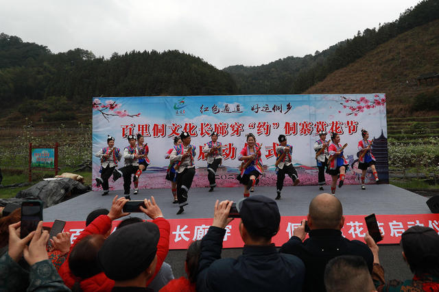 侗寨 农业 产业 旅游 赏花节 乡村振兴