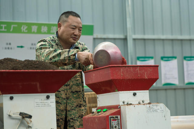 水稻  育苗  自动化  科技  浏阳
