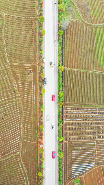 春耕  农事  公路  田园