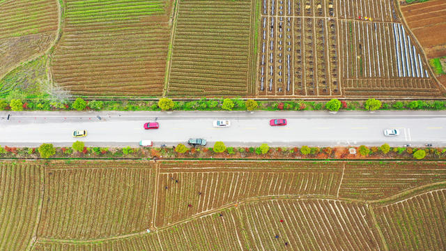 春耕  农事  公路  田园