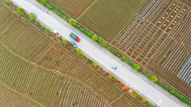 春耕  农事  公路  田园