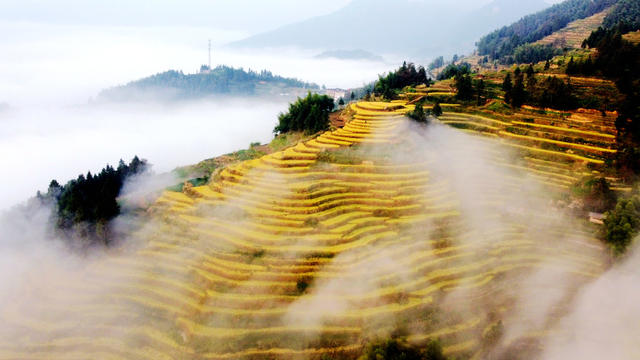 风光照片