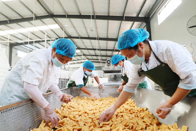豆腐  醋水豆腐  新田大豆  产业