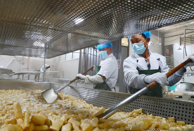 豆腐  醋水豆腐  新田大豆  产业