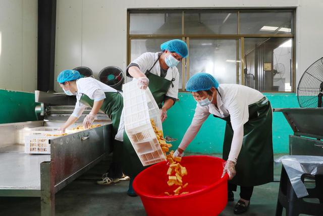 豆腐  醋水豆腐  新田大豆  产业