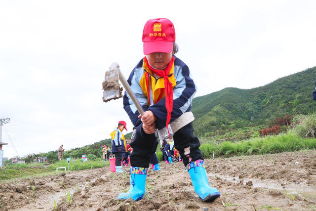 劳动  教育  实践  基地