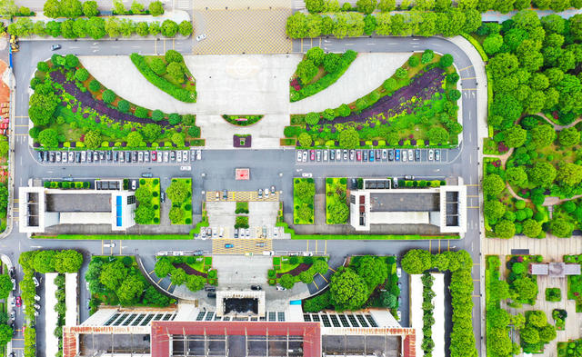 绿色  公园  共享
