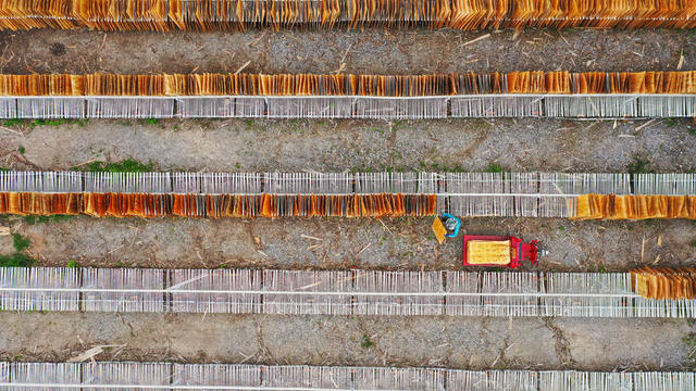 企业  生产   晾晒   板材