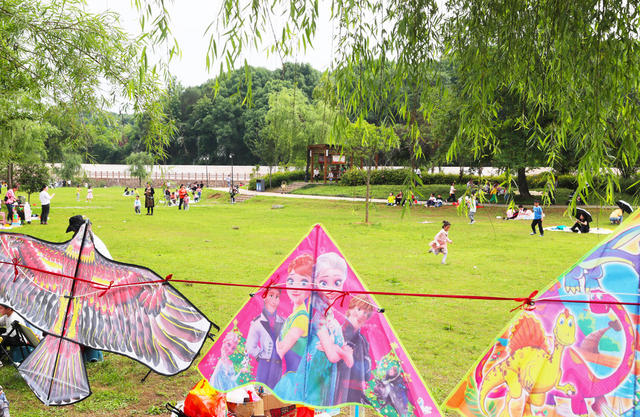 公园  生态  休闲  健身