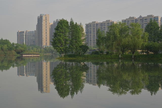 旅游  湿地  山水  