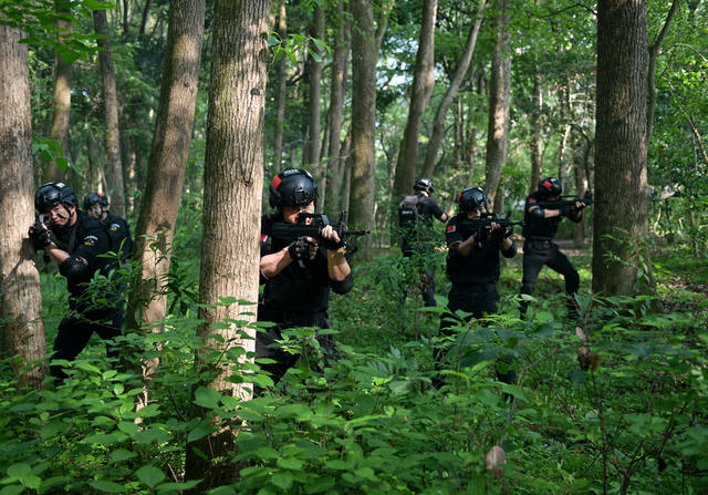 公安  警察  搜索
巡特警
实战演练
训练