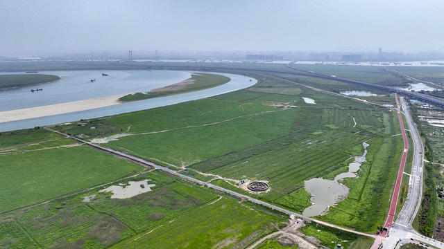 水岸线 华龙码头 君山区 长江 芦苇丛 生态 自然环境