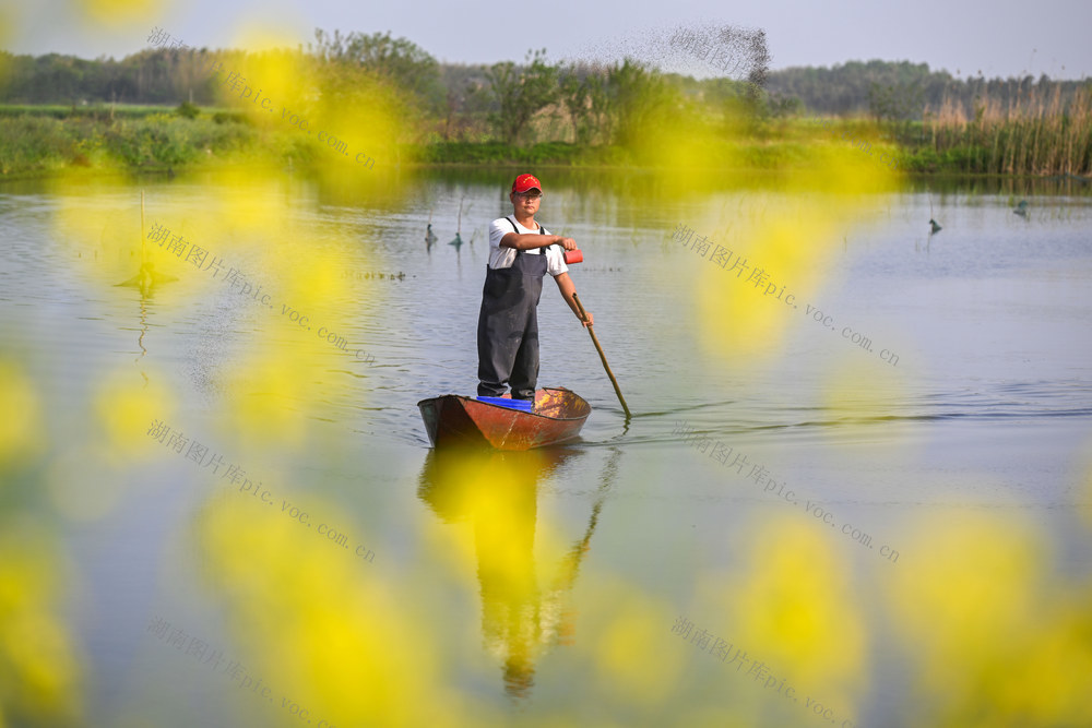  Return to hometown and start a business in Changjiang Village Tourism Aquaculture Home employment Crawfish square dance Leisure entertainment Beautiful rural ecology