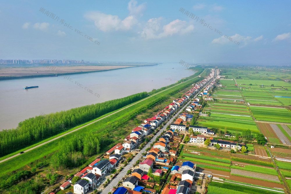  Green Development, Ecological Yangtze Village, Environmental Renovation, Volunteer Service, Beautiful Village, One River, Clear Water, River Island