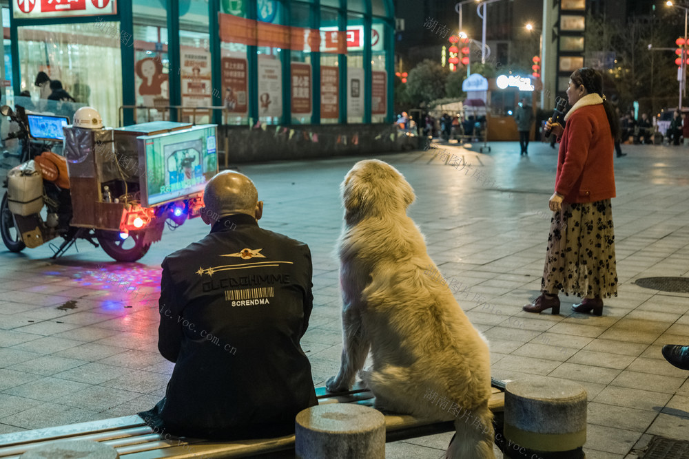 夜晚  动物  戏曲  欢唱  观众